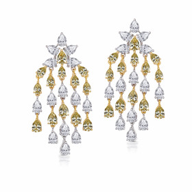 stylish cassia earrings